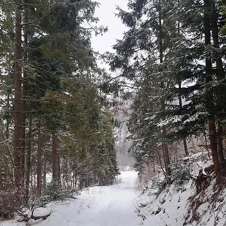 Lanovka - Vojtechova Samota Спишска-Нова-Вес